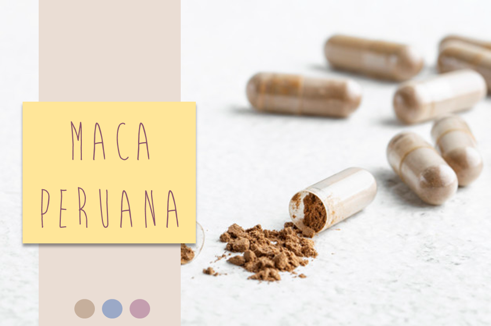 maca peruana o que e e para que serve